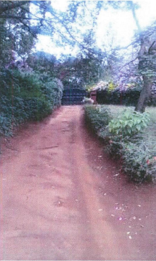 10 acre Piece of Land, Ndovu Lane, Karen